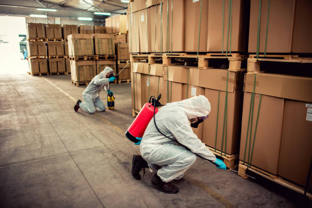 Reliable Swedesboro, NJ Pest Control Solutions