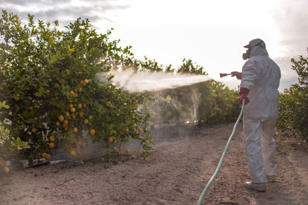 Best Pest Control for Businesses  in Swedesboro, NJ