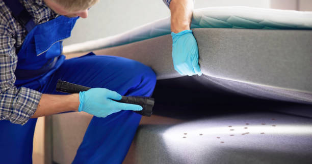 Best Bed Bug Extermination  in Swedesboro, NJ