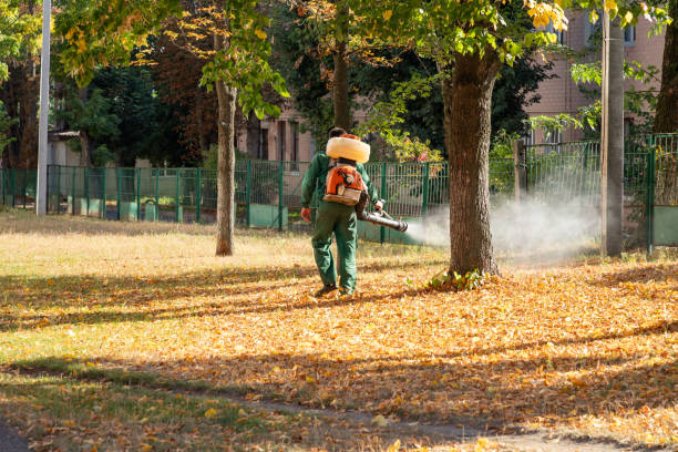 Best Local Pest Control Services  in Swedesboro, NJ