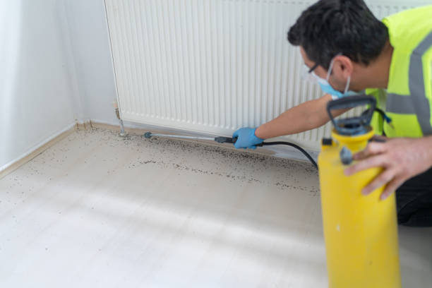 Best Ant Control Services  in Swedesboro, NJ